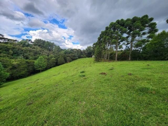 Imagem Imóvel com 3 Quartos à Venda, 51.000 m² em Campo Largo Da Roseira - São José Dos Pinhais Imagem Imóvel com 3 Quartos à Venda, 51.000 m² em Campo Largo Da Roseira - São José Dos Pinhais