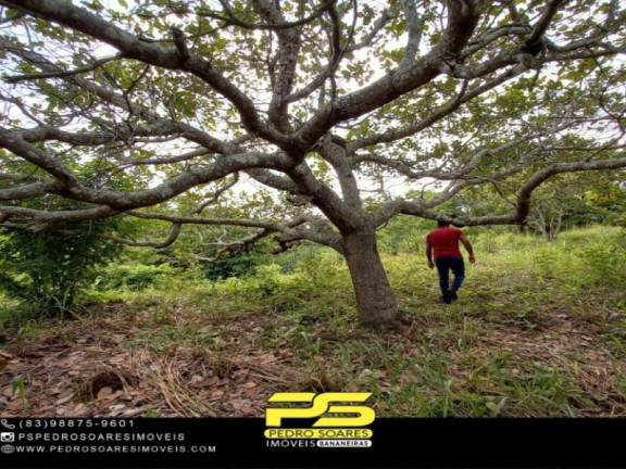 Imagem Imóvel com 1 Quarto à Venda, 20.000 m² em Bananeiras - Bananeiras Imagem Imóvel com 1 Quarto à Venda, 20.000 m² em Bananeiras - Bananeiras