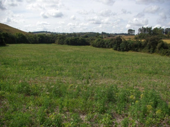 Imagem Imóvel à Venda, 435.600 m² em Zona Rural - Jacui