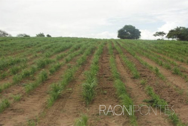 Imagem Fazenda à Venda, 1.710.000 m² em Zona Rural - São Pedro Imagem Fazenda à Venda, 1.710.000 m² em Zona Rural - São Pedro