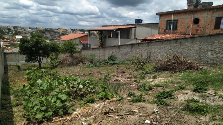 Imagem Terreno à Venda, 360 m² em Veneza - Ribeirão Das Neves