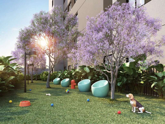 Imagem Imóvel com 1 Quarto à Venda, 27 m² em Cangaíba - São Paulo Imagem Imóvel com 1 Quarto à Venda, 27 m² em Cangaíba - São Paulo