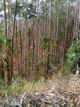 Imagem Terreno à Venda, 1 m² em Parque Santo Antônio - Jacareí Imagem Terreno à Venda, 1 m² em Parque Santo Antônio - Jacareí