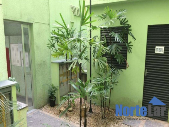 Imagem Apartamento com 2 Quartos à Venda, 48 m² em Vila Amélia - São Paulo Imagem Apartamento com 2 Quartos à Venda, 48 m² em Vila Amélia - São Paulo