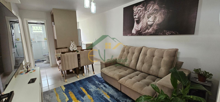 Imagem Apartamento com 2 Quartos à Venda, 41 m² em Tanguá - Almirante Tamandaré Imagem Apartamento com 2 Quartos à Venda, 41 m² em Tanguá - Almirante Tamandaré