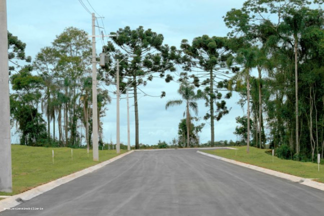 Imagem Terreno à Venda, 501 m² em Reserva Samambaia - Cotia Imagem Terreno à Venda, 501 m² em Reserva Samambaia - Cotia