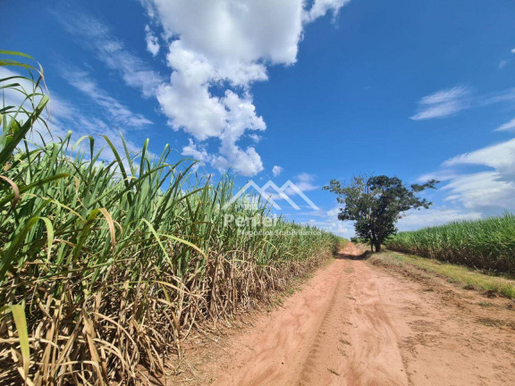 Imagem Fazenda à Venda, 500 m² em Luis Antonio - Luís Antônio Imagem Fazenda à Venda, 500 m² em Luis Antonio - Luís Antônio