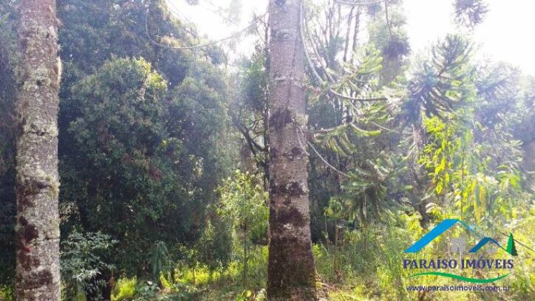 Imagem Terreno à Venda, 113.740 m² em Centro - Gonçalves