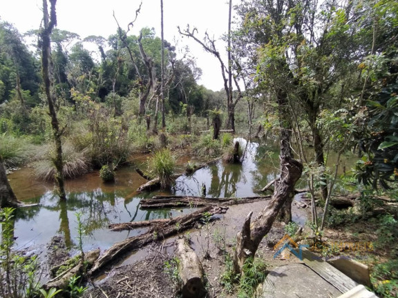 Imagem Chácara com 3 Quartos à Venda, 194 m² em Campestre Da Faxina - São José Dos Pinhais Imagem Chácara com 3 Quartos à Venda, 194 m² em Campestre Da Faxina - São José Dos Pinhais
