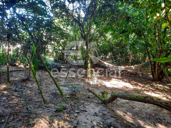 Imagem Casa com 2 Quartos à Venda, 100 m² em Praia Do Prumirim - Ubatuba