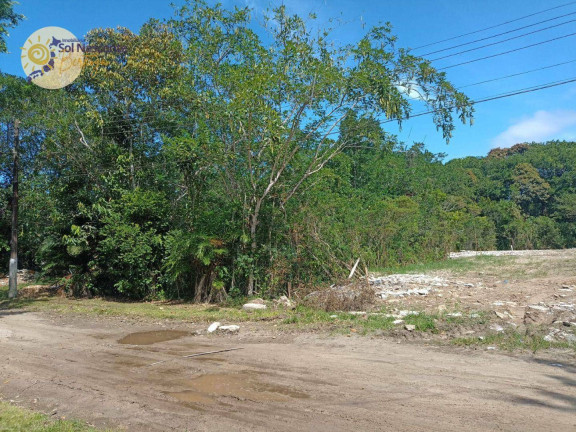 Imagem Terreno à Venda, 500 m² em Jardim São Lourenço - Bertioga Imagem Terreno à Venda, 500 m² em Jardim São Lourenço - Bertioga