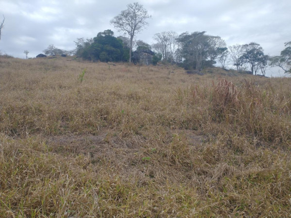 Imagem Chácara à Venda, 20.000 m² em Rio Pardo - Caldas Imagem Chácara à Venda, 20.000 m² em Rio Pardo - Caldas