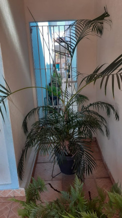 Imagem Casa com 2 Quartos à Venda, 200 m² em Vila Didi - Jundiaí Imagem Casa com 2 Quartos à Venda, 200 m² em Vila Didi - Jundiaí
