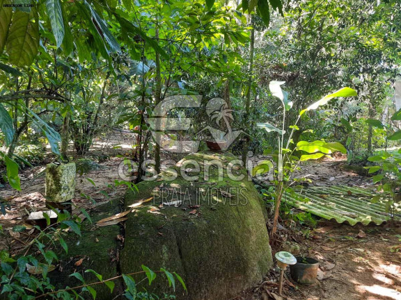 Imagem Casa com 2 Quartos à Venda, 100 m² em Praia Do Prumirim - Ubatuba