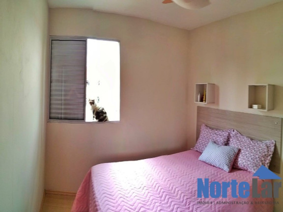 Imagem Apartamento com 2 Quartos à Venda, 52 m² em Vila Constança - São Paulo Imagem Apartamento com 2 Quartos à Venda, 52 m² em Vila Constança - São Paulo