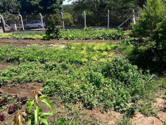 Imagem Terreno à Venda, 1.500 m² em Parque Santa Julieta - Santa Cruz Da Conceição Imagem Terreno à Venda, 1.500 m² em Parque Santa Julieta - Santa Cruz Da Conceição