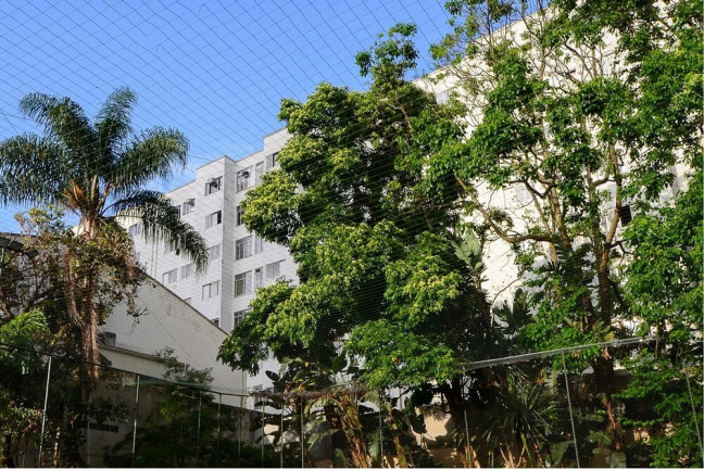 Imagem Apartamento com 4 Quartos à Venda, 91 m² em Jardim Vila Mariana - São Paulo Imagem Apartamento com 4 Quartos à Venda, 91 m² em Jardim Vila Mariana - São Paulo
