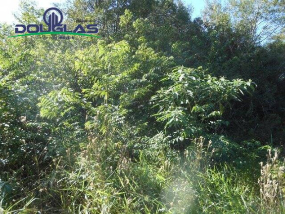 Imagem Terreno à Venda, 600 m² em águas Claras - Viamão