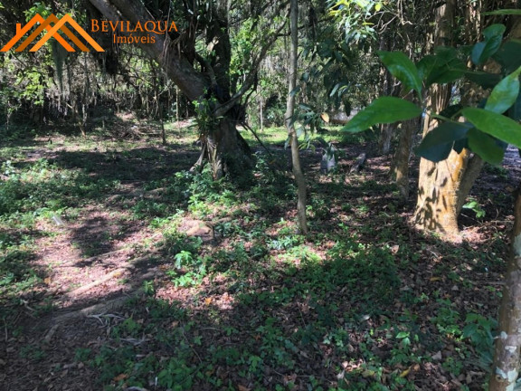 Imagem Terreno à Venda, 8.126 m² em Cangueri De Fora - Imaruí Imagem Terreno à Venda, 8.126 m² em Cangueri De Fora - Imaruí