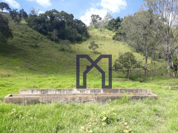 Imagem Fazenda à Venda, 360.000 m² em Cubatão - Marmelópolis