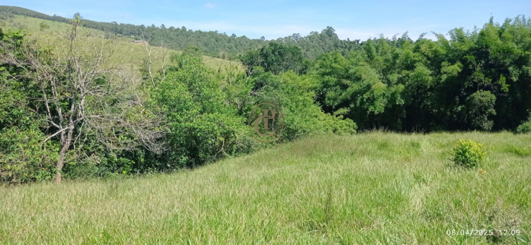 Imagem Chácara à Venda, 63.000 m² em Centro - Santa Branca Imagem Chácara à Venda, 63.000 m² em Centro - Santa Branca