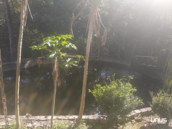 Imagem Fazenda à Venda, 46.887 m² em Sul Do Rio - Santo Amaro Da Imperatriz