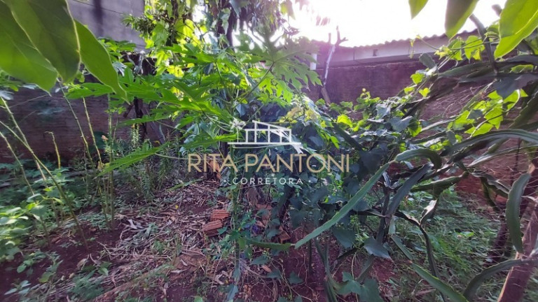Imagem Terreno à Venda, 250 m² em Jardim Jandaia - Ribeirão Preto Imagem Terreno à Venda, 250 m² em Jardim Jandaia - Ribeirão Preto