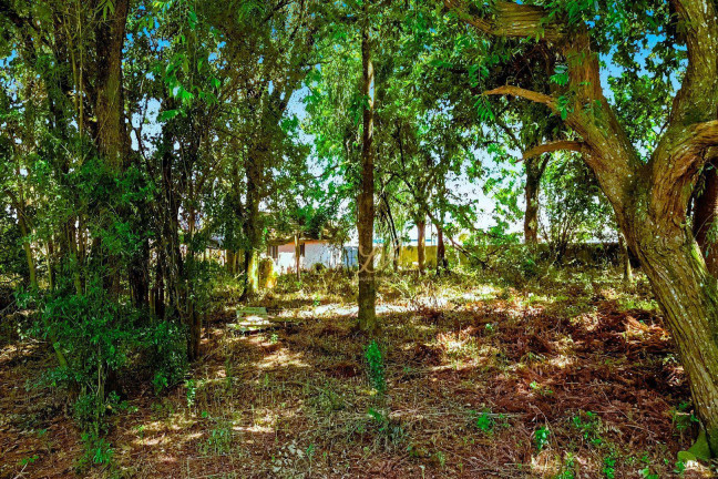 Imagem Terreno à Venda, 2.189 m² em Pinheirinho - Curitiba Imagem Terreno à Venda, 2.189 m² em Pinheirinho - Curitiba