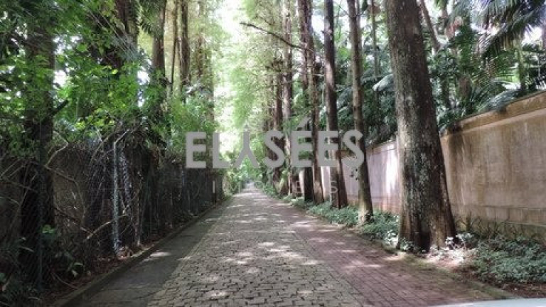 Imagem Imóvel à Venda, em Chácara Flora - São Paulo Imagem Imóvel à Venda, em Chácara Flora - São Paulo