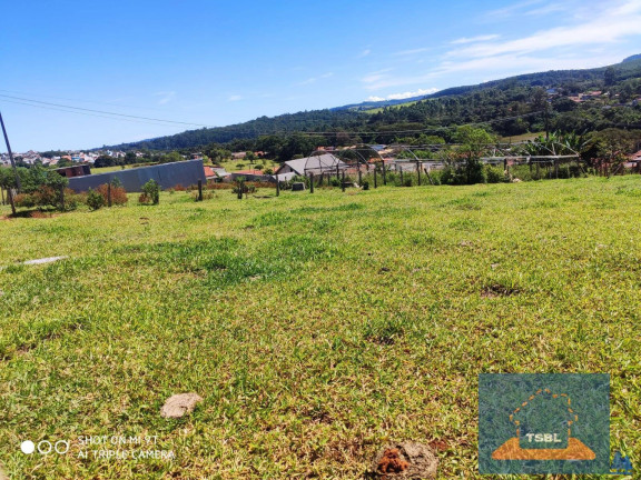Imagem Terreno à Venda, 5.000 m² em Bairro Do Menin - Bragança Paulista Imagem Terreno à Venda, 5.000 m² em Bairro Do Menin - Bragança Paulista