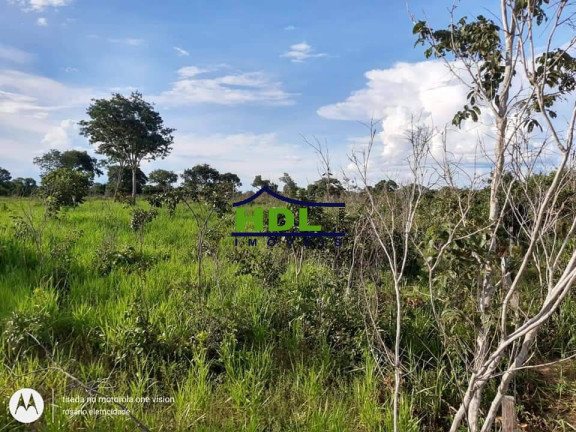 Imagem Fazenda à Venda, 318 m² em Zona Rural - Araguaiana