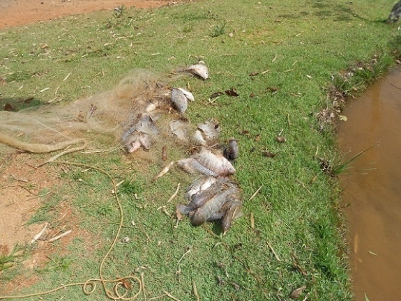 Imagem Fazenda à Venda,  em Araxá