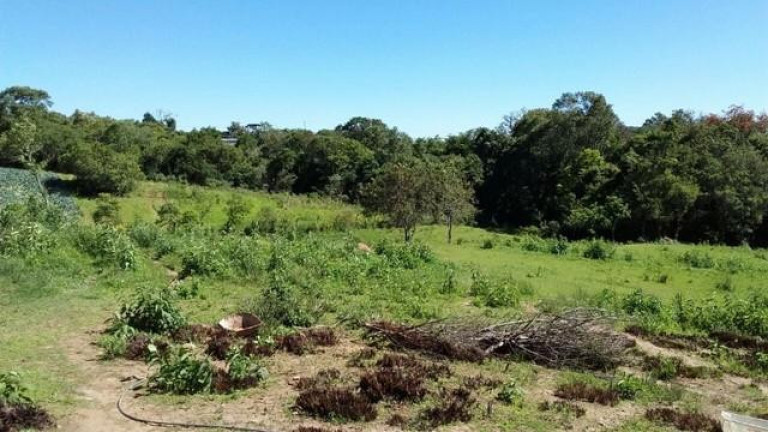 Imagem Imóvel com 4 Quartos à Venda, 300 m² em Dom Pedro - Campo Magro Imagem Imóvel com 4 Quartos à Venda, 300 m² em Dom Pedro - Campo Magro