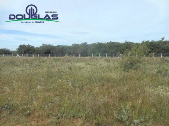 Imagem Terreno à Venda, 544 m² em águas Claras - Viamão
