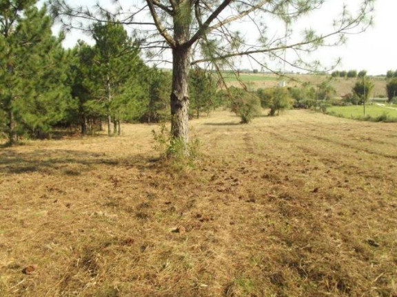 Imagem Terreno à Venda, 80.000 m² em águas Claras - Viamão