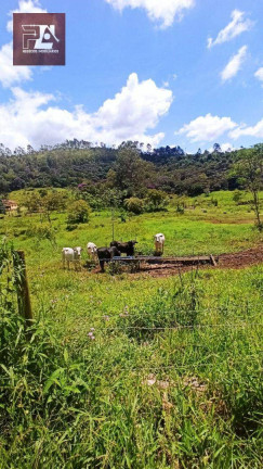 Imagem Imóvel à Venda, 24.200 m² em área Rural De Lorena - Lorena Imagem Imóvel à Venda, 24.200 m² em área Rural De Lorena - Lorena