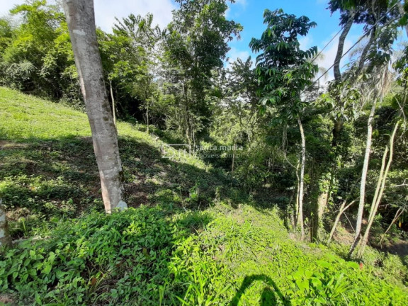 Imagem Imóvel com 3 Quartos à Venda, 27.000 m² em Bairro Bela Vista - Bananal Imagem Imóvel com 3 Quartos à Venda, 27.000 m² em Bairro Bela Vista - Bananal