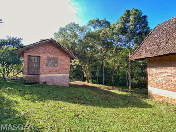 Imagem Chácara com 4 Quartos à Venda, 120.000 m² em Centro - Santa Maria Do Herval Imagem Chácara com 4 Quartos à Venda, 120.000 m² em Centro - Santa Maria Do Herval