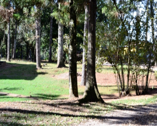 Imagem Imóvel com 4 Quartos à Venda, em Piá - Nova Petrópolis Imagem Imóvel com 4 Quartos à Venda, em Piá - Nova Petrópolis