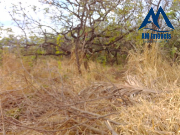 Imagem Terreno à Venda, 1 m² em São Geraldo - Lagoa Santa Imagem Terreno à Venda, 1 m² em São Geraldo - Lagoa Santa