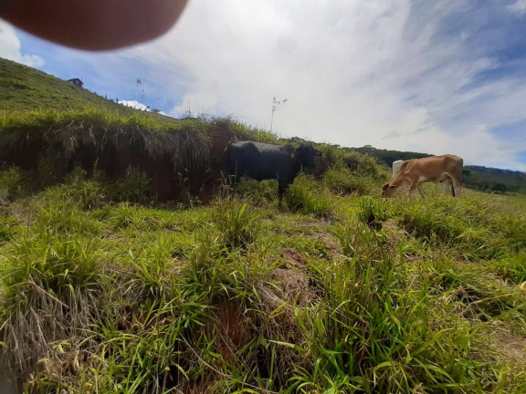 Imagem Terreno à Venda, 1.900 m² em Taubaté Imagem Terreno à Venda, 1.900 m² em Taubaté