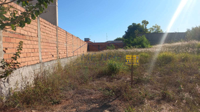 Imagem Terreno à Venda, 250 m² em Jardim Treviso - Pirassununga Imagem Terreno à Venda, 250 m² em Jardim Treviso - Pirassununga