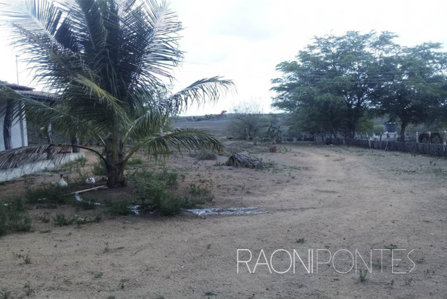Imagem Fazenda à Venda, 1.710.000 m² em Zona Rural - São Pedro Imagem Fazenda à Venda, 1.710.000 m² em Zona Rural - São Pedro