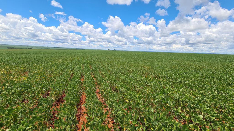 Imagem Imóvel à Venda, 9.680.000 m² em Rural - Bataguassu Imagem Imóvel à Venda, 9.680.000 m² em Rural - Bataguassu