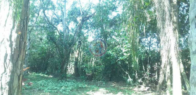 Imagem Fazenda à Venda, 5.000 m² em San Marcos - Itanhaém Imagem Fazenda à Venda, 5.000 m² em San Marcos - Itanhaém