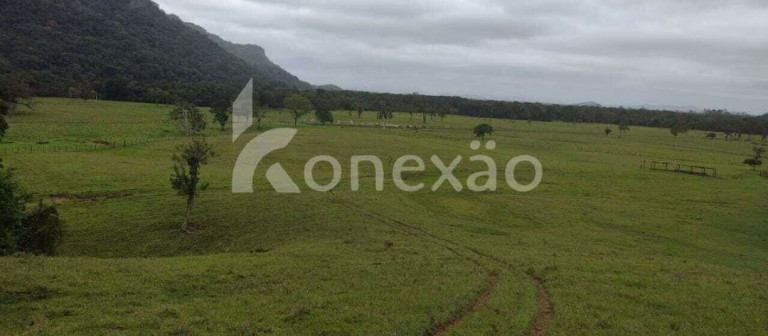 Imagem Fazenda à Venda, 90 m² em Braço Grande - Miracatu Imagem Fazenda à Venda, 90 m² em Braço Grande - Miracatu
