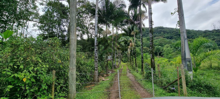 Imagem Chácara com 2 Quartos à Venda, 314 m² em Jardim Aguapeú - Itanhaém