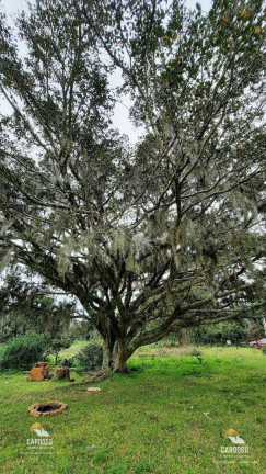 Imagem Fazenda à Venda, 90.000 m² em águas Claras - Viamão Imagem Fazenda à Venda, 90.000 m² em águas Claras - Viamão