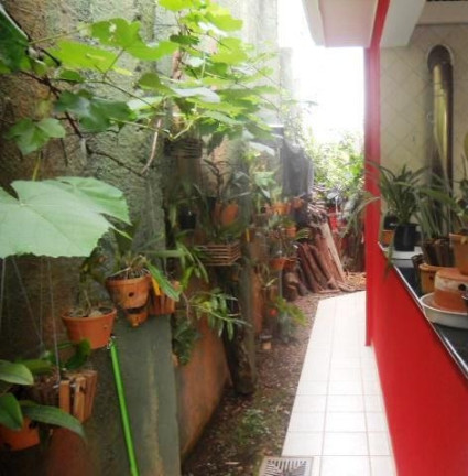 Imagem Casa com 4 Quartos à Venda, 343 m² em Jardim Indaiá - Embu Das Artes Imagem Casa com 4 Quartos à Venda, 343 m² em Jardim Indaiá - Embu Das Artes