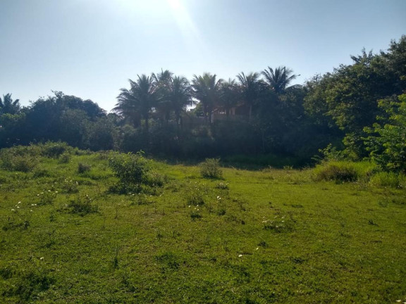 Imagem Imóvel à Venda, 874 m² em Palmeiras - Guaraparia